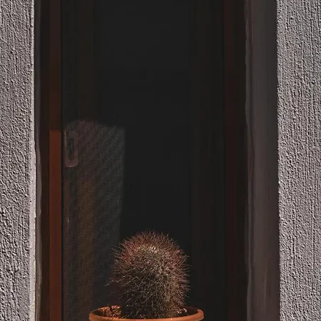 Pier & Appartamento *